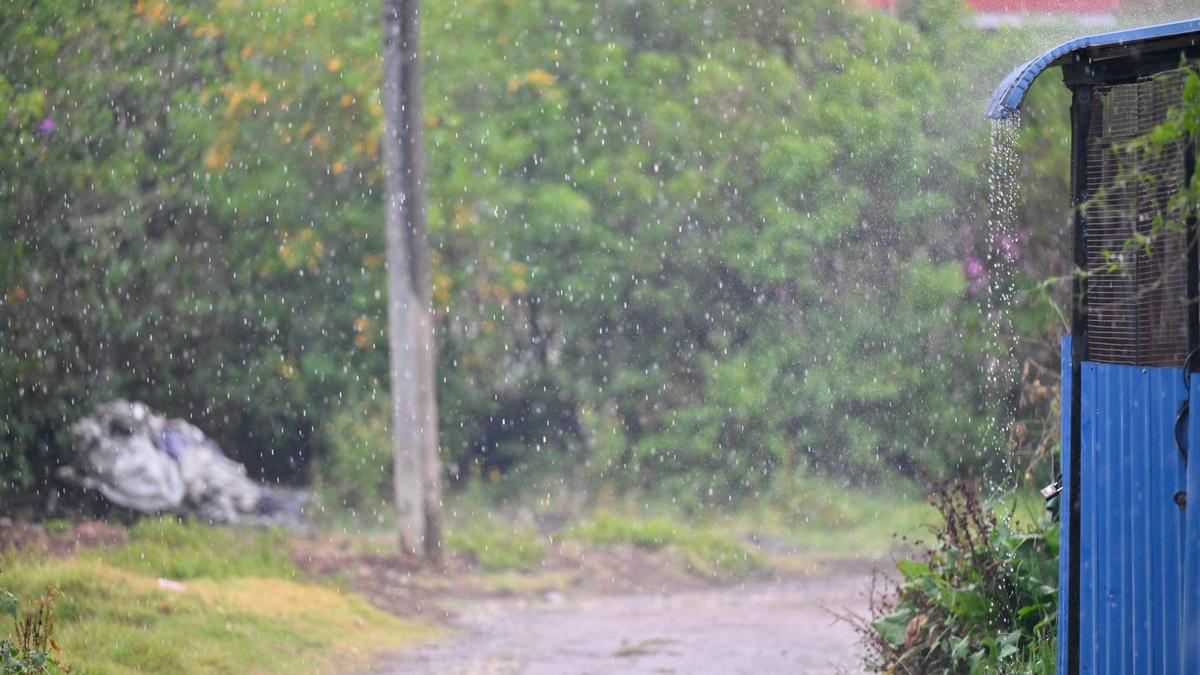 Nilgiris forest fire totally contained: TN government