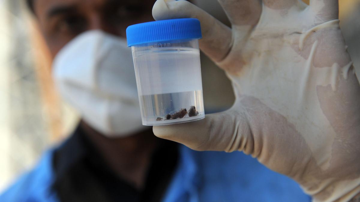 Teenager becomes first Congo virus fatality in Pakistan’s Karachi