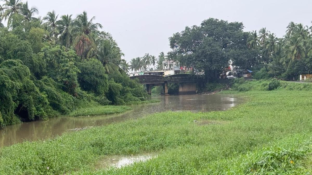 Tamil Nadu election 2026: Infrastructure gains, civic gaps define Nagercoil constituency’s electoral mood