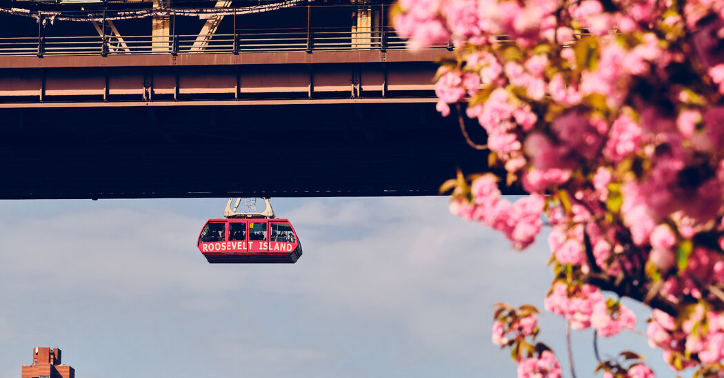 Today, In Short – The New York Times