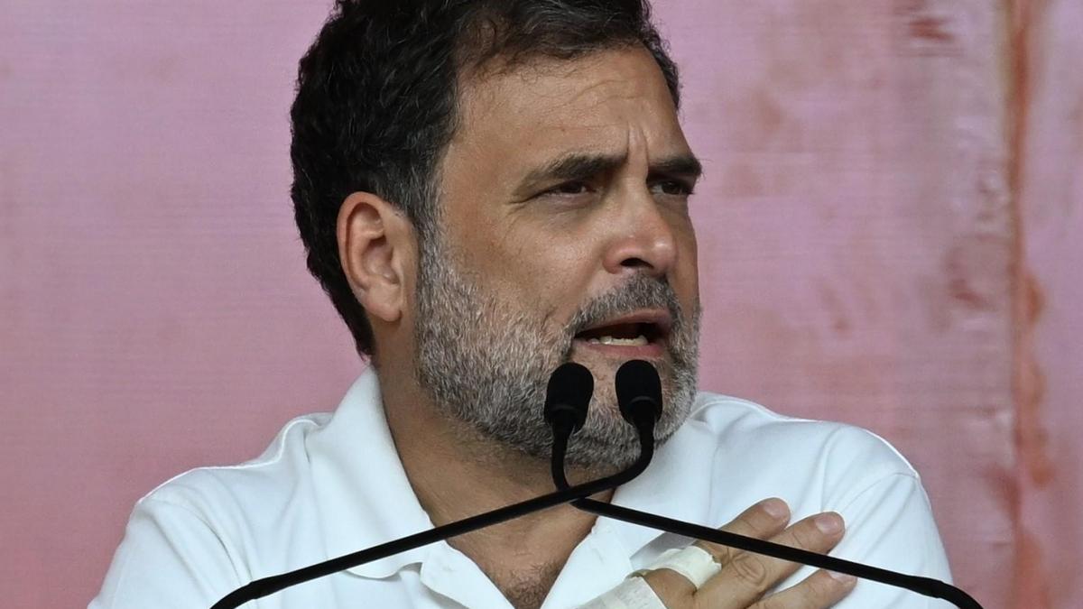 BJP wants to have a puppet AIADMK Chief Minister, says Rahul Gandhi