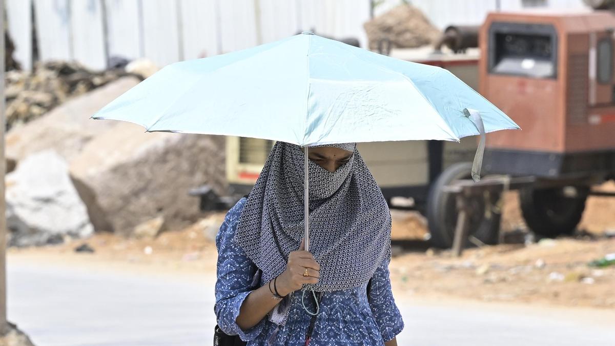 Telangana 2026 summer temperature tracker; highest temperature of 44.5°C on April 26
