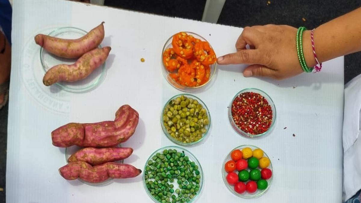 Telangana Food Safety Department demonstrates methods to identify adulterated food