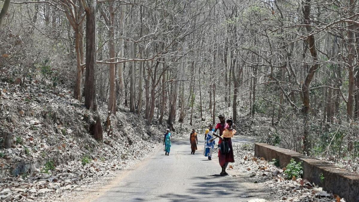 Tamil Nadu election 2026: Tribespeople take up arduous trek to polling stations in Valparai constituency
