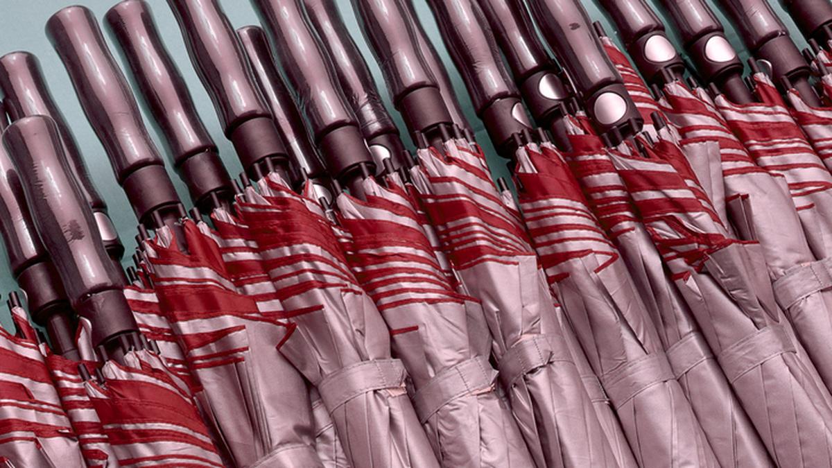 Union Budget 2026: Soaps, detergents, umbrellas likely to turn expensive; customs processes to be simplified