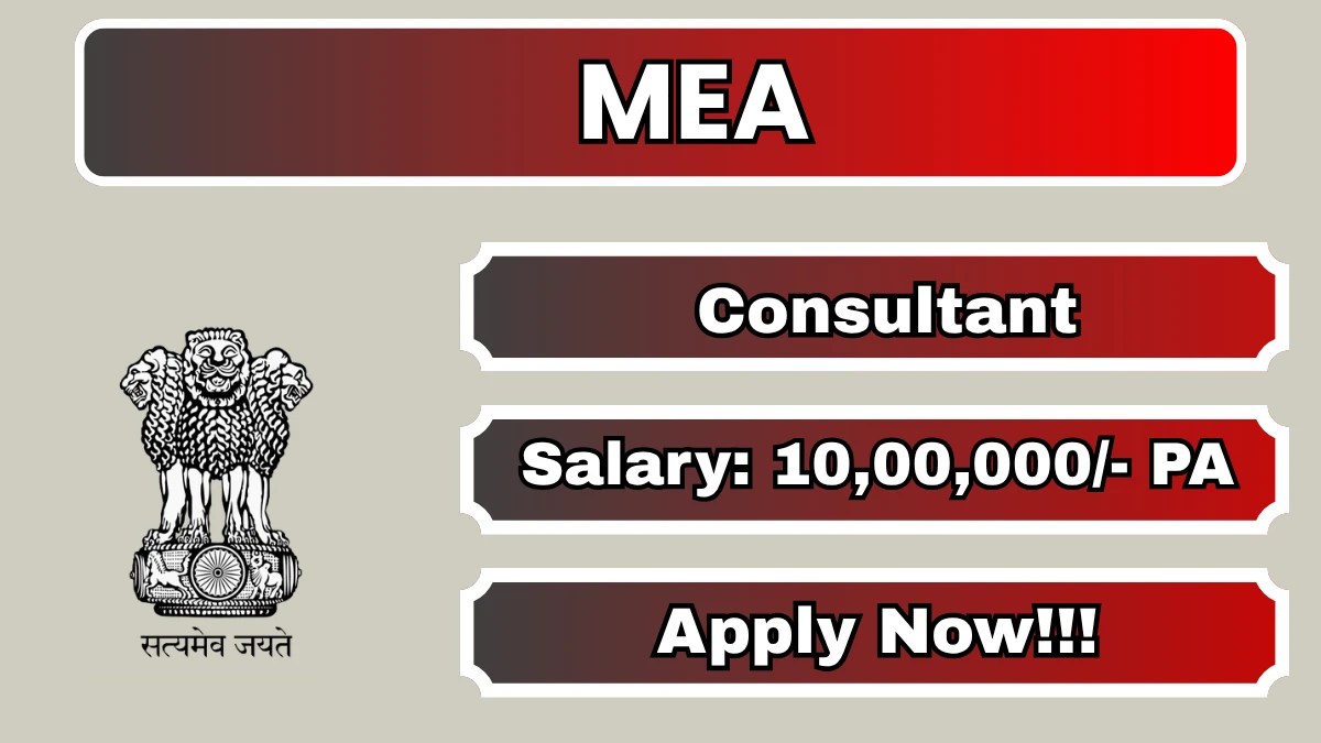 MEA Consultant Recruitment 2026 – Apply Offline