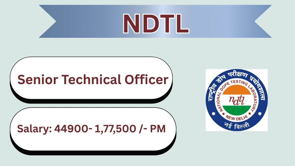 NDTL Senior Technical Officer Recruitment 2026