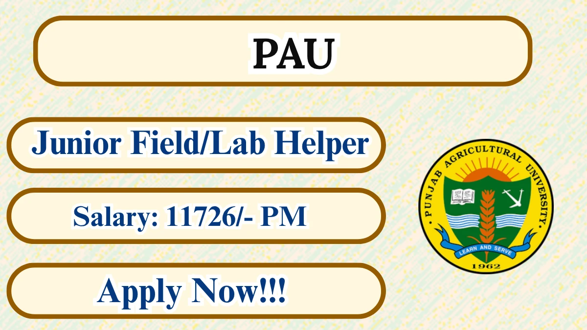 PAU Junior Field/Lab Helper Recruitment 2026