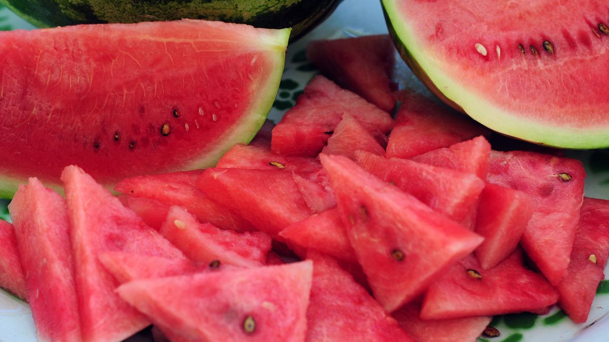 Mumbai family deaths: Rat poison ingredient zinc phosphide found in viscera and watermelon sample