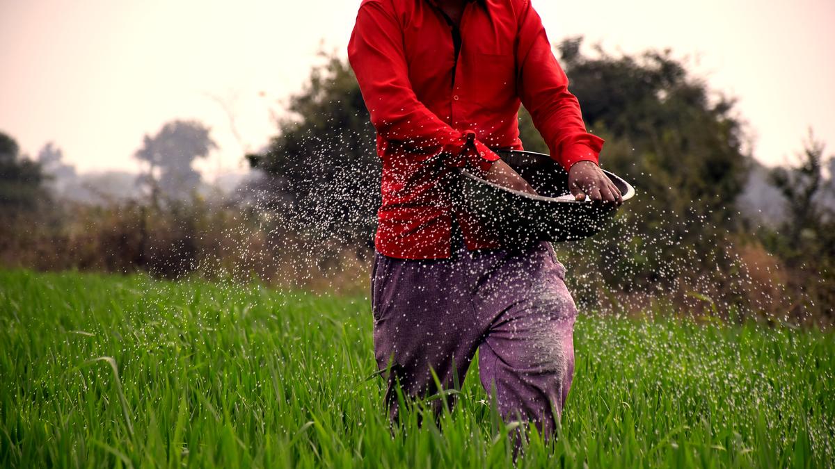 Biogas association calls for blending of organic manure with fertilizers