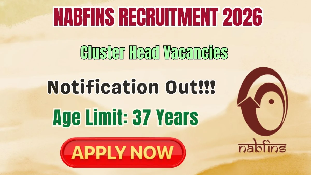 NABFINS Cluster Head Recruitment 2026
