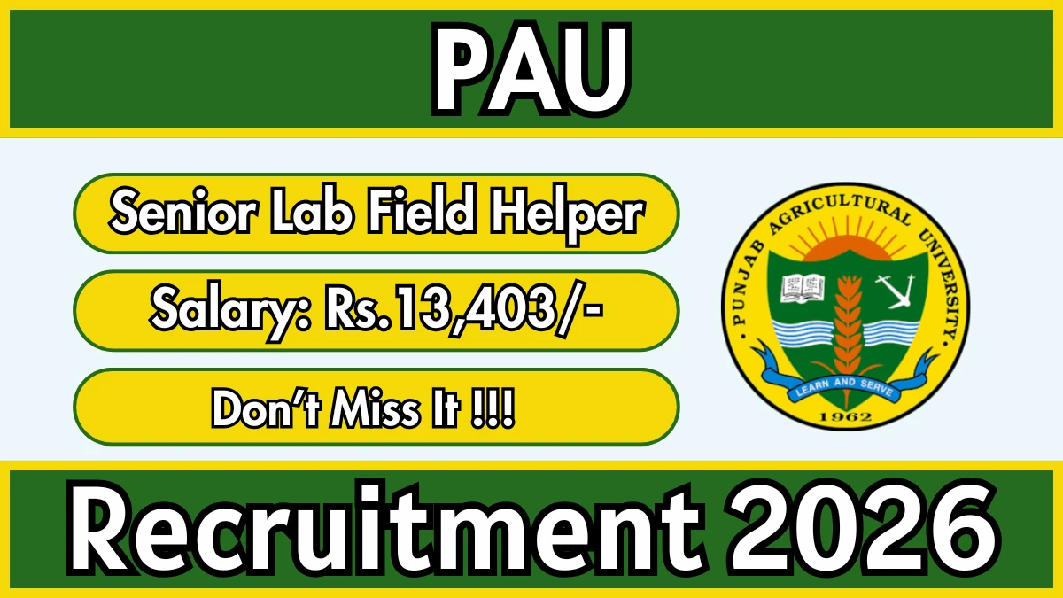 PAU Senior Lab Field Helper Recruitment 2026
